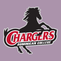 The Dominican Chargers Heavyweight Hoodie | Teevron