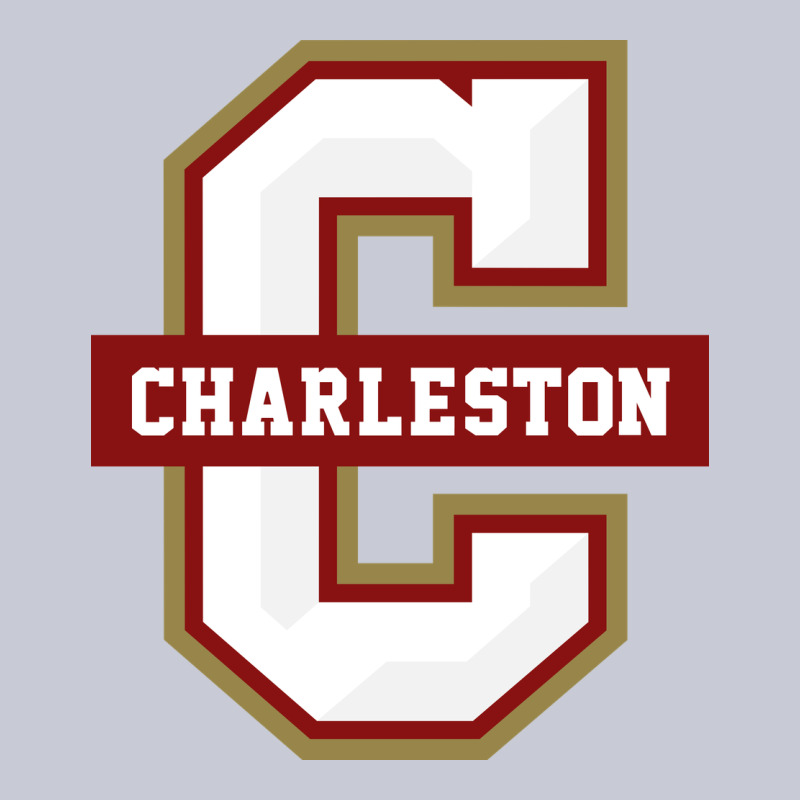 The Charleston Cougars Heavyweight Hoodie by linhVisuals | Teevron