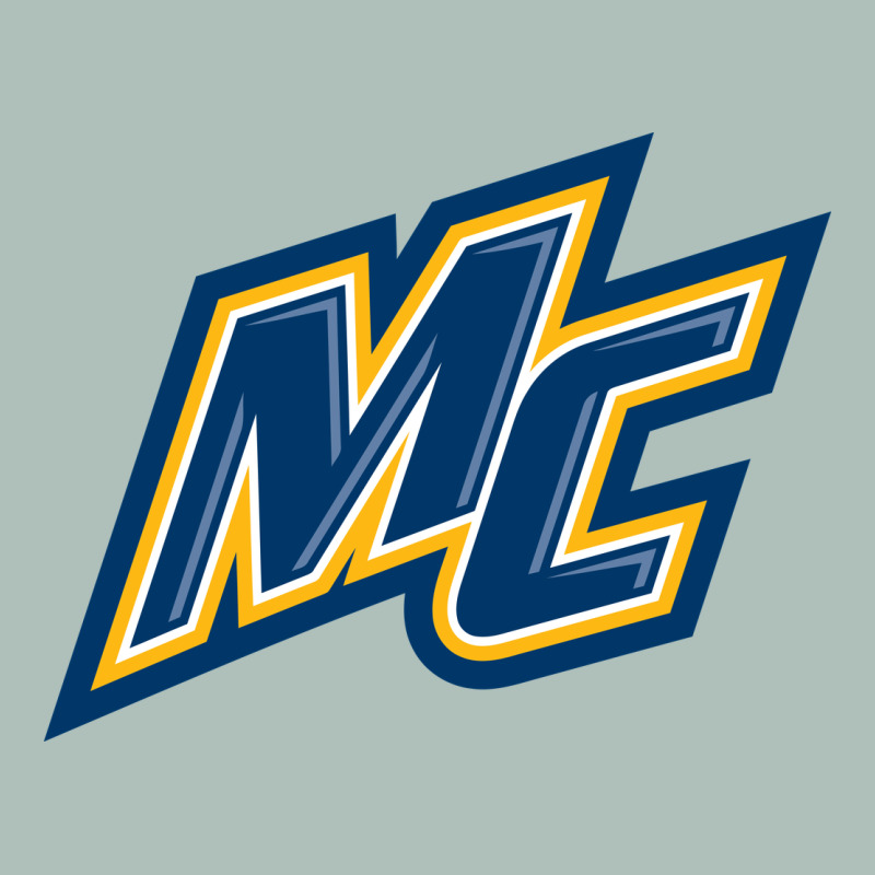 Merrimack Warriors Heavyweight Hoodie by linhVisuals | Teevron
