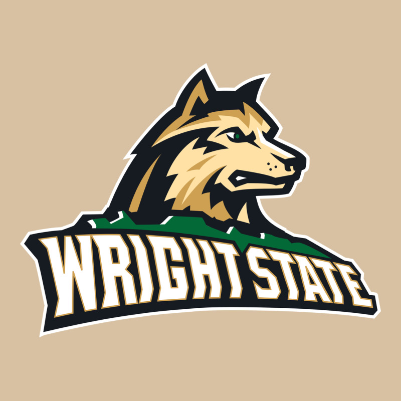 Wright State Heavyweight Hoodie by linhVisuals | Teevron