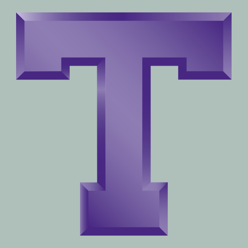 Tarleton State Athletics Heavyweight Hoodie by linhVisuals | Teevron