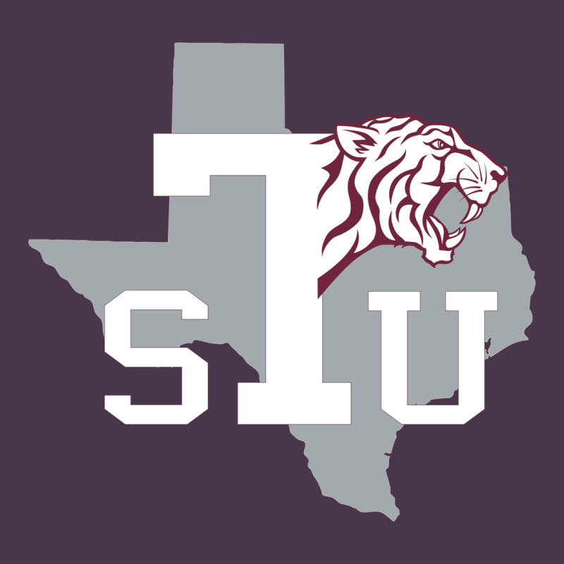 Texas Southern Heavyweight Hoodie by linhVisuals | Teevron