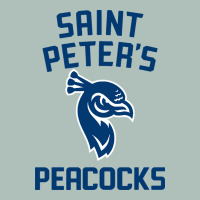 #st Peters Peacocks Heavyweight Hoodie | Teevron
