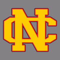North Catholic High School Heavyweight Hoodie | Teevron