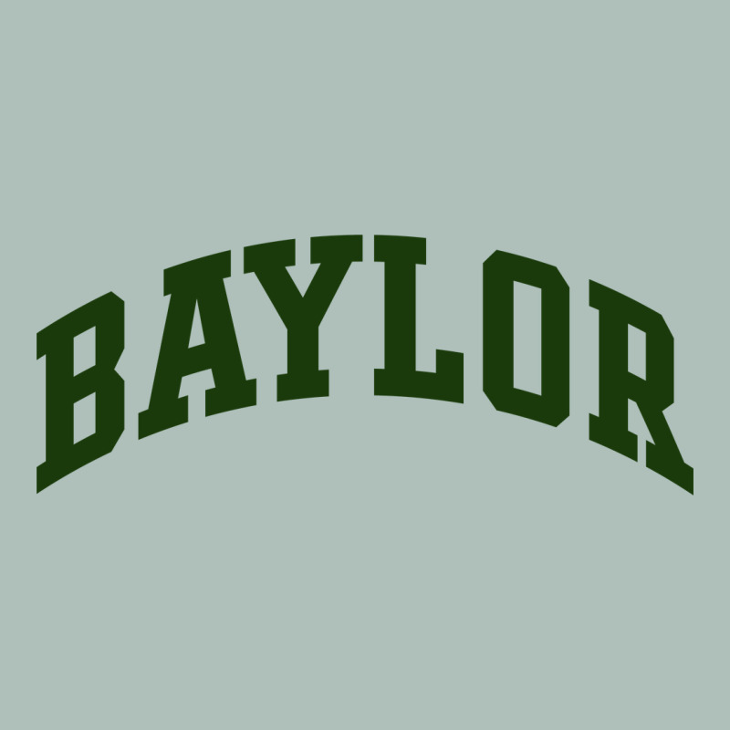 Baylor [tw] Heavyweight Hoodie by linhVisuals | Teevron