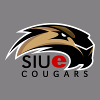 Siu Edwardsville Heavyweight Hoodie | Teevron