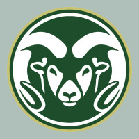 The Colorado State Rams Heavyweight Hoodie | Teevron