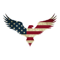 bald eagle  america | Teevron