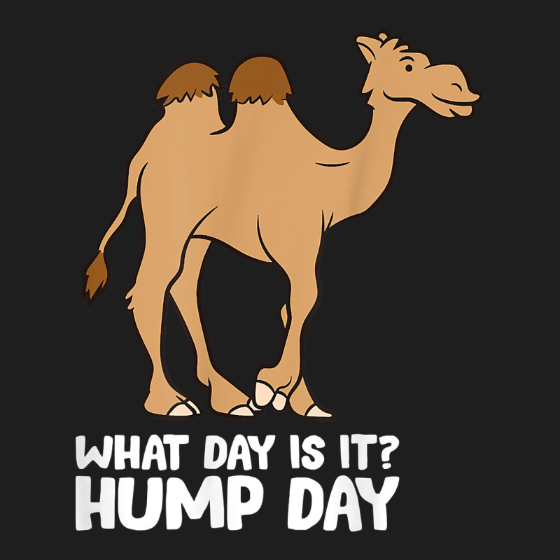 What Day Is It Hump Day Funny Camels Hump Day T Shirt Heavyweight Hoodie by linhVisuals | Teevron