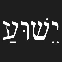 Yeshua Jesus In Hebrew Pullover Hoodie Heavyweight Hoodie | Teevron