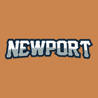 Newport School Heavyweight Hoodie | Teevron