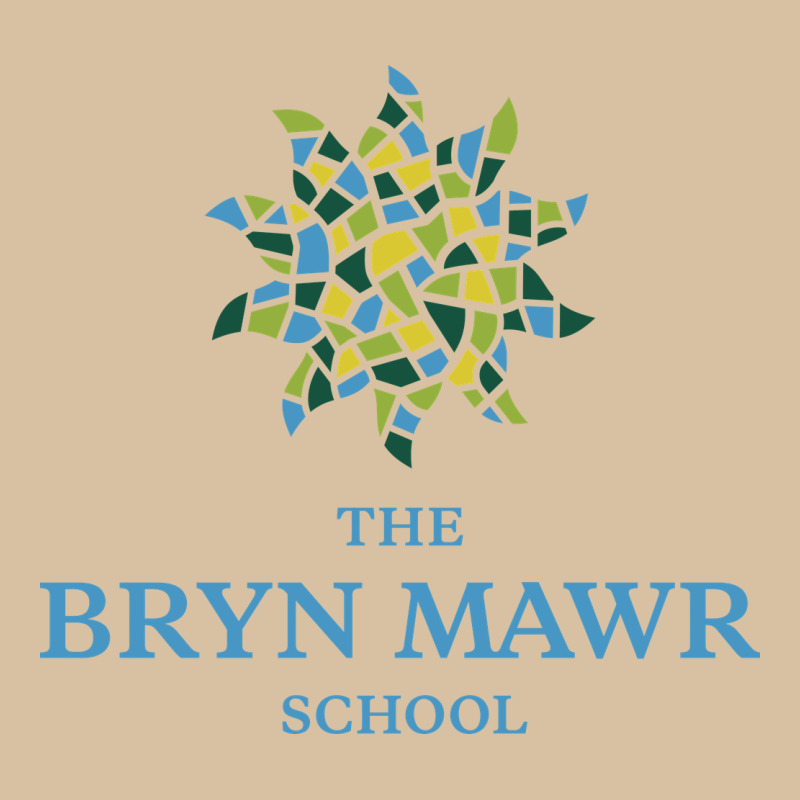 Bryn Mawr School Heavyweight Hoodie by linhVisuals | Teevron