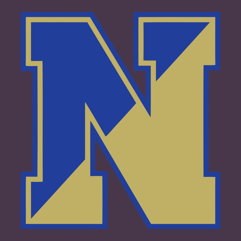 Norwell High School Heavyweight Hoodie by linhVisuals | Teevron