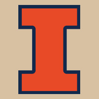 Illinois Heavyweight Hoodie | Teevron