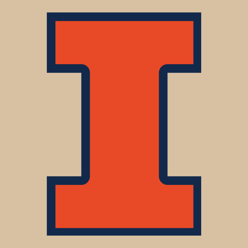 Illinois Heavyweight Hoodie by linhVisuals | Teevron