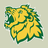 Missouri Southern, Mssu Lions Heavyweight Hoodie | Teevron