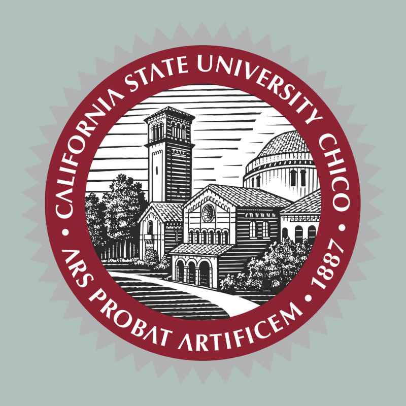 Csu Chico Seal Heavyweight Hoodie by linhVisuals | Teevron