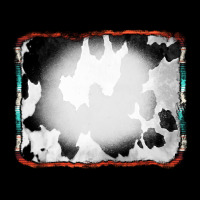Cowhide Background With Bleach Serape Frame Ladies Tee | Teevron