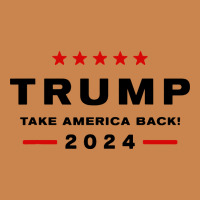 Donald Trump 2024 Take America Back Heavyweight Hoodie | Teevron