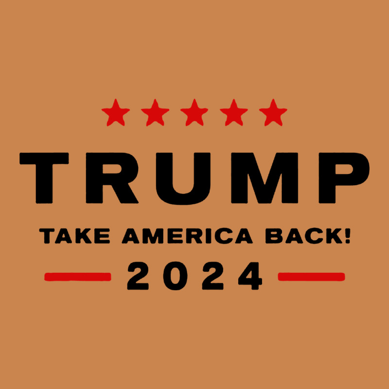 Donald Trump 2024 Take America Back Heavyweight Hoodie by baoMotion | Teevron