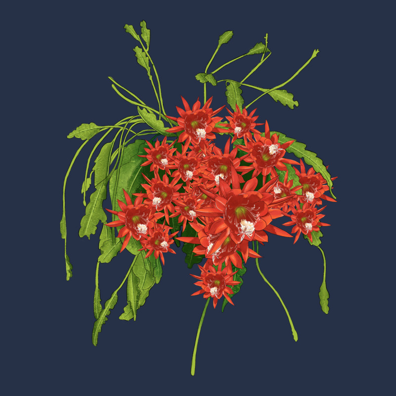 Red Orchid Cactus Premium Hoodie by LillyAllenDesigns | Teevron