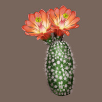 King Cup Cactus Premium Hoodie | Teevron