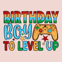 Birthday Boy To Level Up Premium Sweatshirt | Teevron