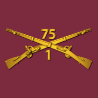1st Bn 75th Infantry Regiment Ranger Branch Wo Txt Premium Hoodie | Teevron