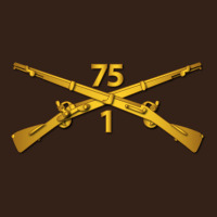 1st Bn 75th Infantry Regiment Ranger Branch Wo Txt Heavy Core Tee | Teevron