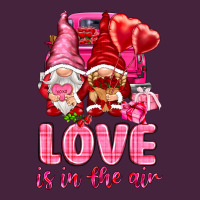 Love Is In The Air With Gnomies Valentine's Day Premium Tee | Teevron