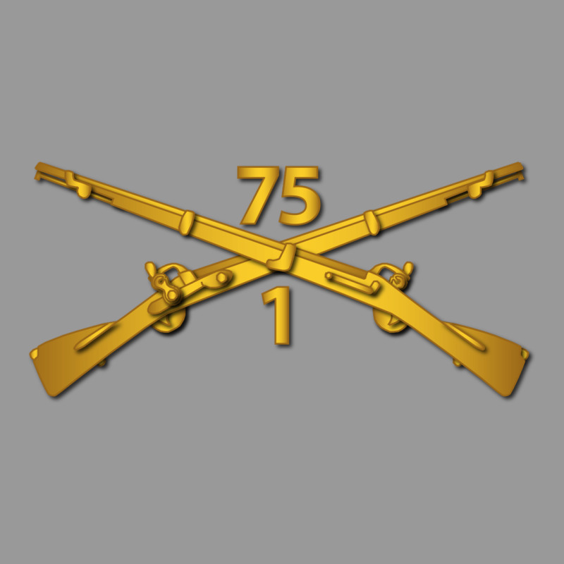 1st Bn 75th Infantry Regiment Ranger Branch Wo Txt Vintage Hoodie by maiPhamDesign | Teevron