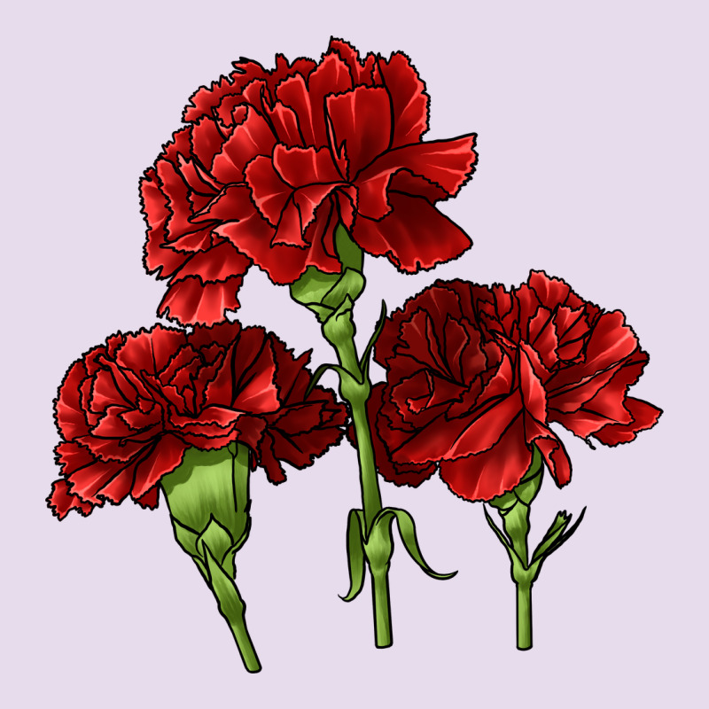 Scarlet Red Carnation Illustrations Premium Hoodie by LillyAllenDesigns | Teevron