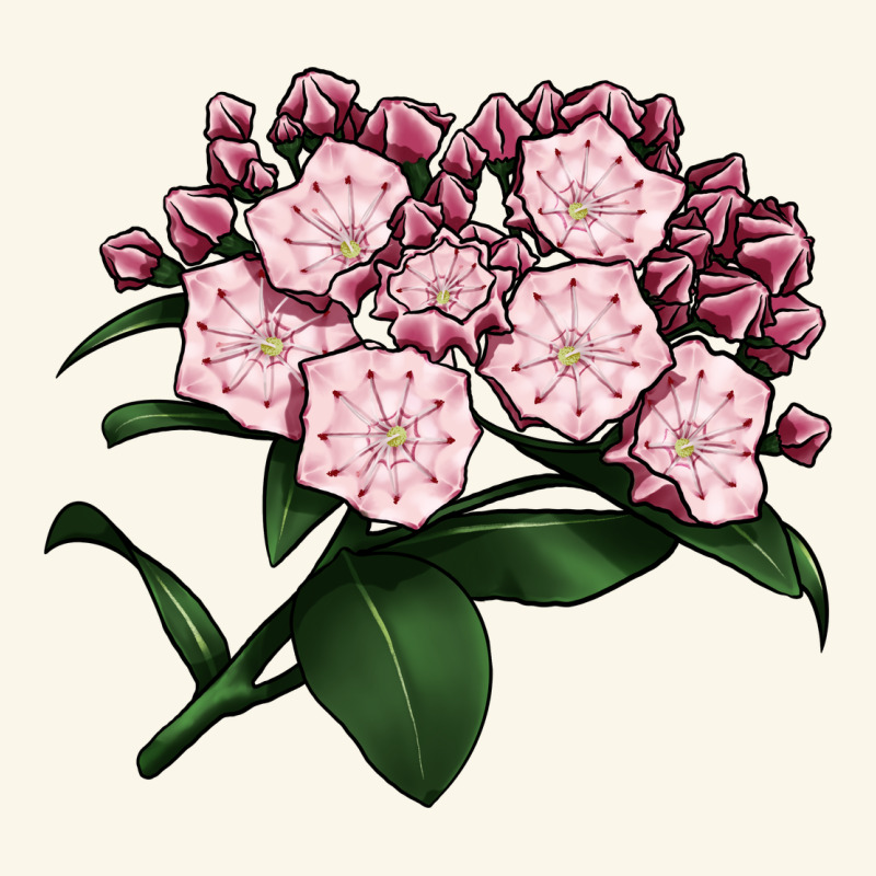 Mountain Laurel Flower Illustrations Premium Hoodie by LillyAllenDesigns | Teevron