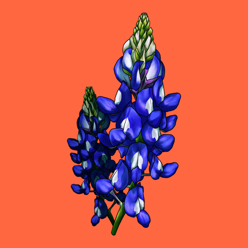 Bluebonnet Flower Illustrations Premium Hoodie by LillyAllenDesigns | Teevron