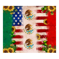 American flag mexico flag sunflower cactus | Teevron