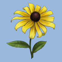 Black Eyed Susan Flower Illustrations Premium Hoodie | Teevron