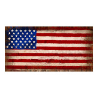 American flag | Teevron