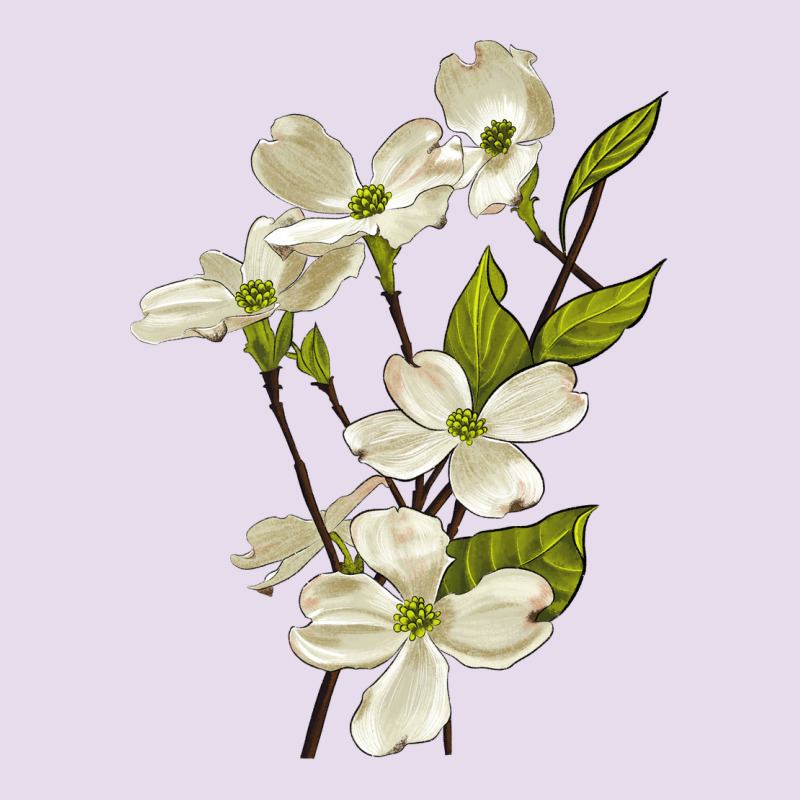 American Dogwood Flower Illustrations Premium Hoodie by LillyAllenDesigns | Teevron