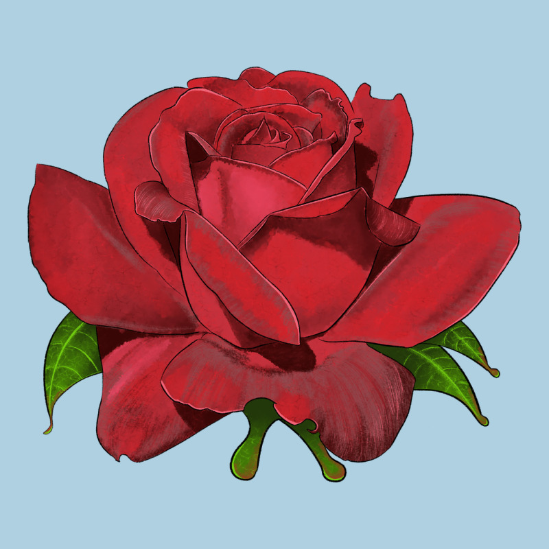 Oklahoma Rose Illustrations Premium Hoodie by LillyAllenDesigns | Teevron