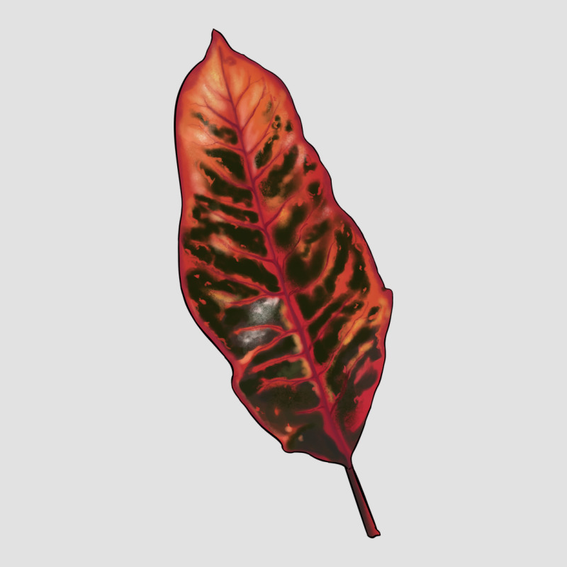 Croton Leaf Premium Hoodie by LillyAllenDesigns | Teevron