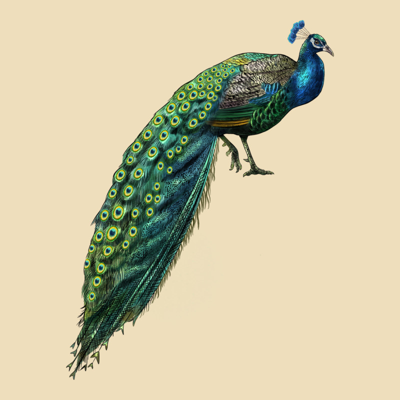 Peacock Premium Hoodie by LillyAllenDesigns | Teevron