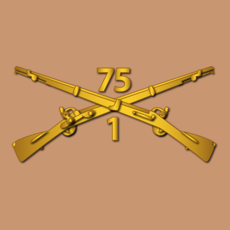 1st Bn 75th Infantry Regiment Ranger Branch Wo Txt Heavyweight Hoodie by maiPhamDesign | Teevron