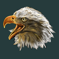 Bald Head Eagle Premium Hoodie | Teevron