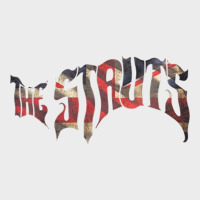 The Struts, British Rock Glam Rock, The The Struts, The Struts Art, Th Urban Hoodie | Teevron