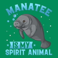 Manatee Gifts Urban Hoodie | Teevron
