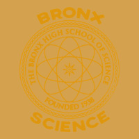 The Bronx Science Urban Hoodie | Teevron