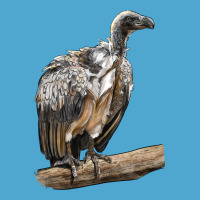 Vulture Bird Premium Hoodie | Teevron