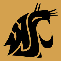Washington State Cougars Football Urban Hoodie | Teevron
