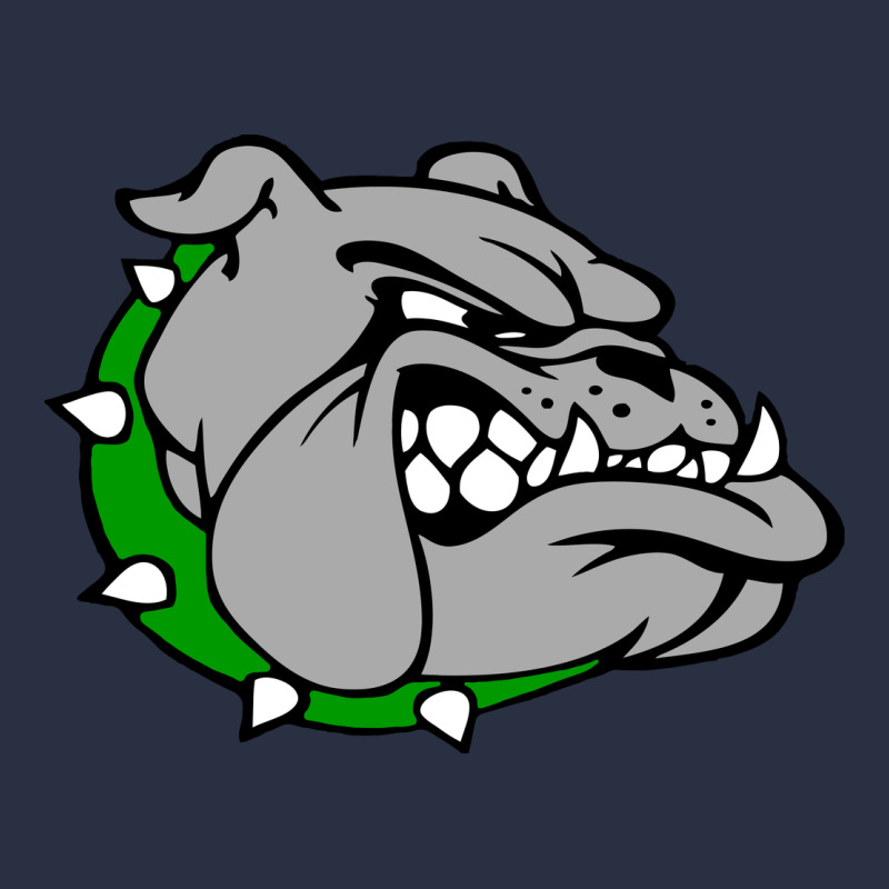 Ashville High School, Ashville Bulldogs Urban Hoodie by PixelFlow | Teevron