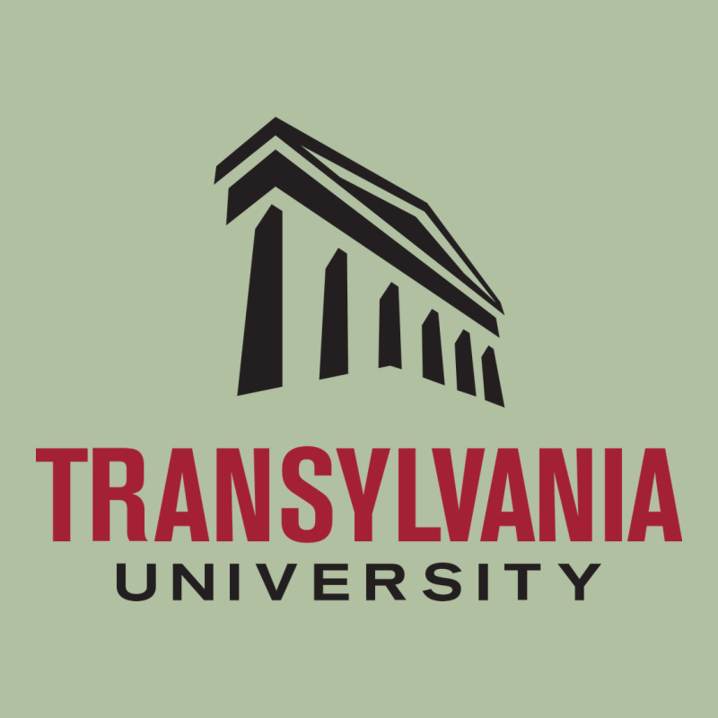 Transylvania University Urban Hoodie by PixelFlow | Teevron